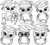 Owl Graduation Pages Owls Coloring Colouring Cute Graduating Digital Graduate Stamp Choose Board Vector Drawings Clip Cards Uploaded User sketch template