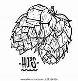 Hops Coloring sketch template