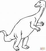 Plateosaurus Coloring Pages Drawing sketch template