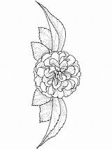 Coloring Pages Camellia Flower Print Flowers Recommended sketch template