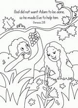 Coloring Pages Bible Adam Story Popular Animals God Made sketch template