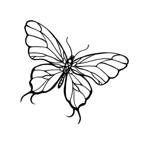 butterfly drawing ideas    clipartmag