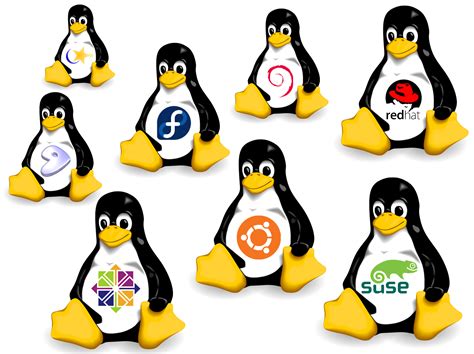 linux linux scripts hub