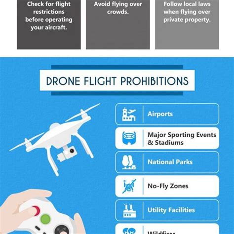 flying  drone infographic  infographics