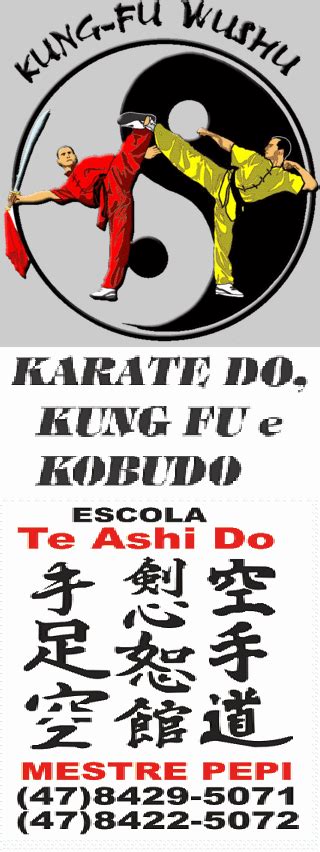 te ashi do karate kung fu e kobudo karate do taekwondo capoeira kung fu kobudo agência de