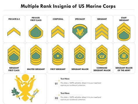 multiple rank insignia   marine corps  graphics