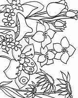 Primavera Colorear Dibujos Enlaces Patrocinados sketch template