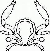 Crab Krab Kolorowanki Krebs Krabbe Horseshoe Ausmalbild Results sketch template