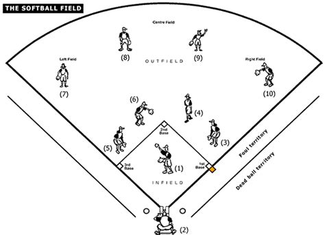 softball field diagram sports pinterest
