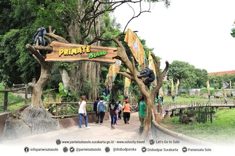 solo safari zoo surakarta harga tiket  lokasi