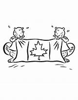 Canada Flag Coloring Pages Beavers Holding Two Cute Fuzzy Event Color Netart Kids Getdrawings Drawing sketch template