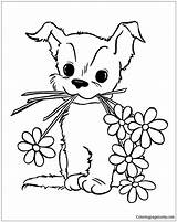 Pages Puppy Coloring Flowers Color sketch template