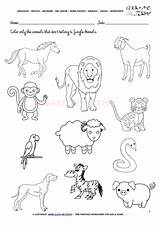 Worksheets Worksheet Animal Jungle sketch template