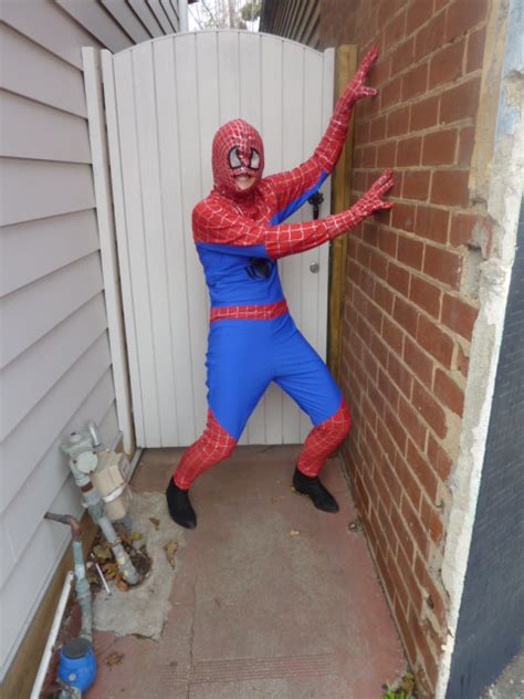 spider man costume adult size bam bam costume hire