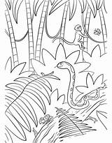 Jungle Selva Animales Dibujo Colorir Coloriage Supercoloring Gratis Escena Foresta Landschaft Paisagem Desenhos Mountains Animaux Tramonto Floresta Entrenamiento Kolorowanka Amordepapeis sketch template