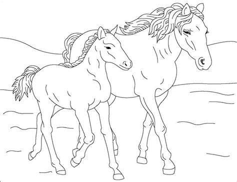 mother  baby horse coloring pages book  kids