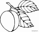 Peach Coloringall Leafs sketch template