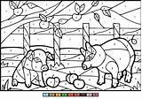 Number Color Coloring Pages Printable Pigs Kids sketch template