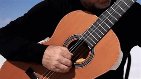 Guitar Something  Find And Share On Giphy