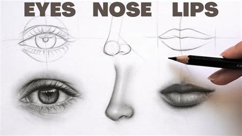 draw realistic eyes nose  lips  simple easy  follow