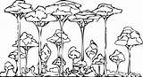 Rainforest Coloring Pages Printable Drawing Forest Trees Rain Clipart Animals Color Colouring Layers Cute Print Simple African Getdrawings Top Getcolorings sketch template