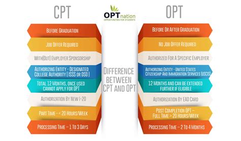 cpt  opt difference  opt  cpt international students