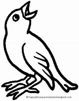 Uccelli Uccellini Desenho Oiseaux Passaro Disegno Caw Aprender Coloriages Rag Tribal sketch template