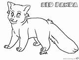 Panda Realistic Coloring Pages Red Line Drawing Getdrawings Printable Getcolorings sketch template