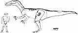 Baryonyx Jurassic Raptor Dinosaur sketch template