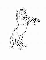 Rearing Horse Coloring Horses Pages Drawing Getcolorings Getdrawings sketch template