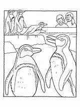 Penguin Zoo Coloring Pages sketch template