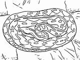 Python Reticulated Anaconda sketch template