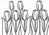 Tulip Coloring Pages Printable Tulips Print Large Kids Cool2bkids sketch template