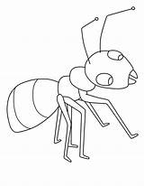Ant Coloring Drawing Kids Ants Colouring Pages Clipart Color Marching Template Children Collection Leaf Working Cutter Print Sheet Hard Hey sketch template