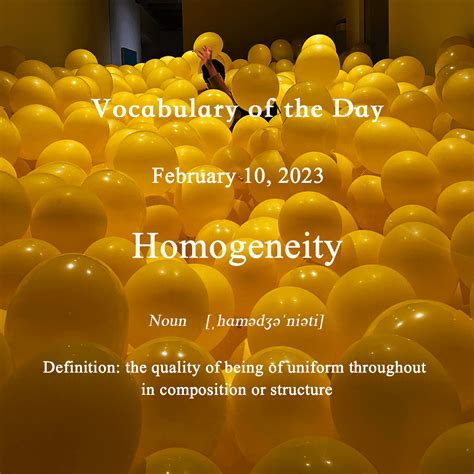 homogeneity vocabulary   day