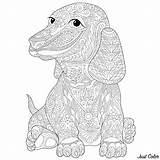 Teckel Chien Dogs Coloriage Coloring Complex Patterns sketch template
