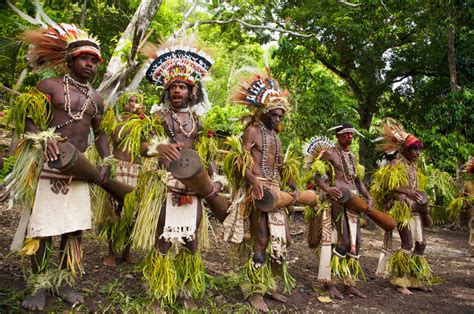 Tufi Resort Holiday Accommodation In Papua New Guinea Wildlife