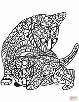 Zentangle Coloring Cat Pages Kitten Style Printable Cats sketch template