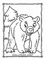 Grizzly Coloring sketch template