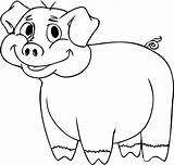 Pig Cartoon Drawing Templates Animal Coloring Pages Draw Template Cute Pigs Animals Drawings Easy Simple Step Colour Colouring Fill Color sketch template