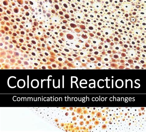 colorful reactions communication  color  programs   calendar