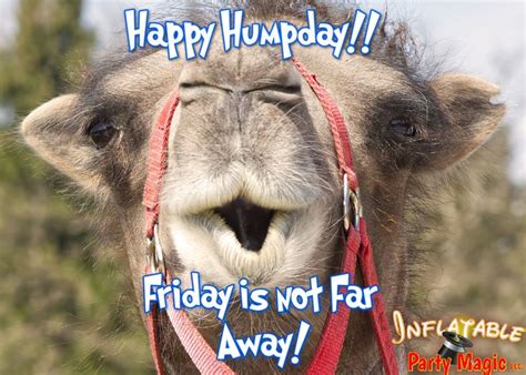 Happy Hump Day Friday Isn T Far Away The Weekend Will Be Here Before