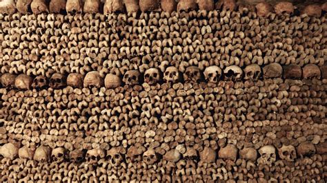 heres   bodies  buried   paris catacombs