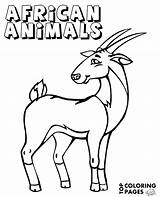 Antelope Coloring Animals sketch template