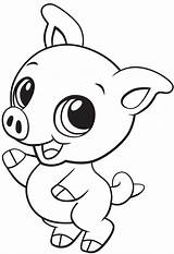 Pig Cute Printable Baby Coloring Pages Kids Description sketch template