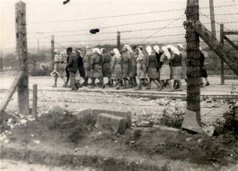 stripped women in holocaust cumception