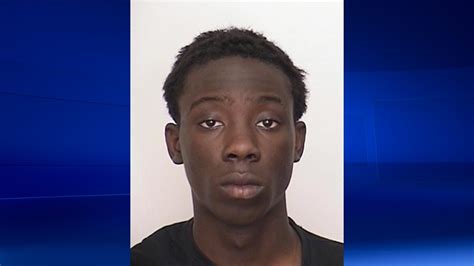 toronto man facing 24 charges in connection with human