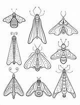 Moth Luna Nerdymamma Downloadable 1254 Listkota sketch template