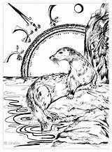 Adultos Loutre Otter Pesci Adulti Fishes Animales Justcolor Fische Erwachsene Peces Malbuch Poissons Animaux Coloriages Sacred Adulte Ausmalbilder Nggallery Zentangle sketch template