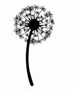 Dandelion Drawing Blowing Tattoo Dandelions Flower Wind Graphics Silhouette Clipart Outline Tattoos Flowers Designs Clip Leon Vector Template Puff Cute sketch template